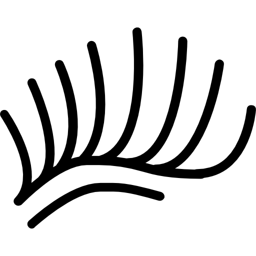 Wimpern Symbol